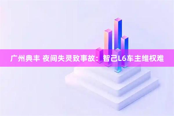 广州典丰 夜间失灵致事故：智己L6车主维权难