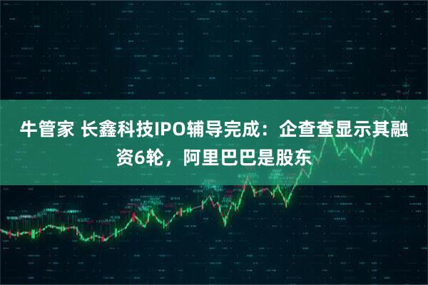牛管家 长鑫科技IPO辅导完成：企查查显示其融资6轮，阿里巴巴是股东