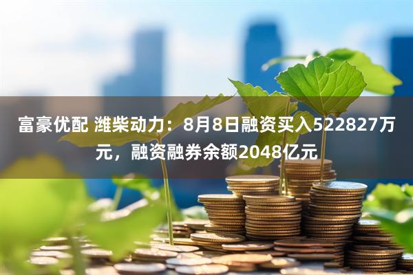 富豪优配 潍柴动力:8月8日融资买入522827万元,融资融券余额2048亿元