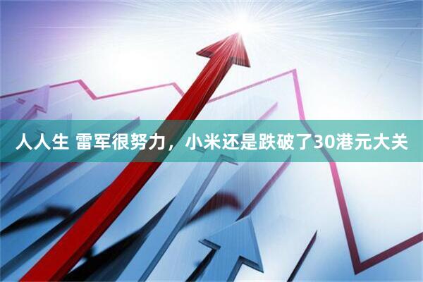 人人生 雷军很努力，小米还是跌破了30港元大关