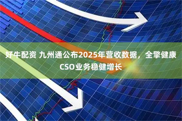 好牛配资 九州通公布2025年营收数据，全擎健康CSO业务稳健增长
