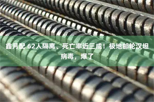 鑫月配 62人隔离、死亡率近三成！极地邮轮汉坦病毒，爆了