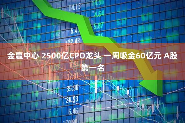金赢中心 2500亿CPO龙头 一周吸金60亿元 A股第一名